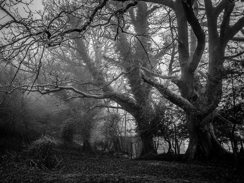 La Hora Loca with LED Robot