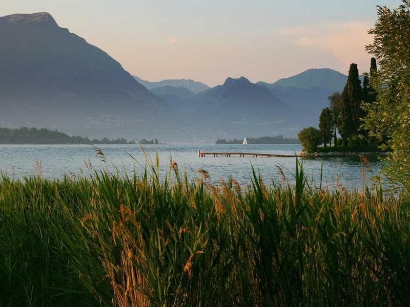 Projector (Slideshows & Videos)